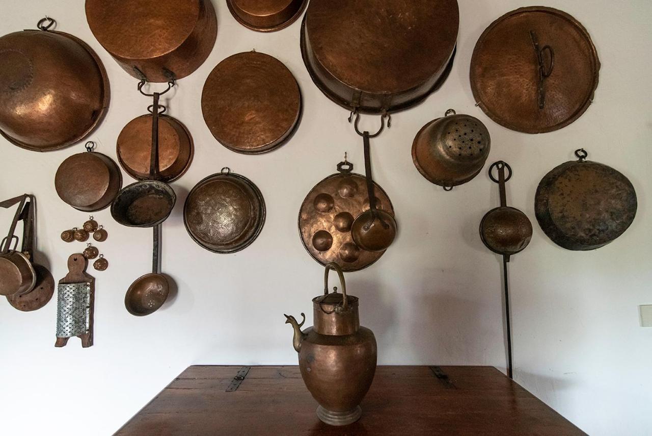 Agriturismo La Fontaccia 몬티아노 외부 사진