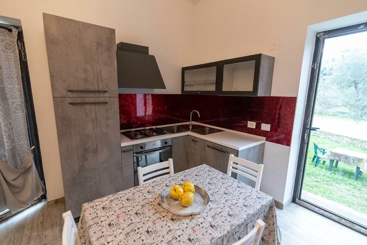 Agriturismo La Fontaccia 몬티아노 외부 사진